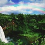 Kauai: Movie Locations Tour - An In-Depth Look at the Kauai Movie Locations Tour