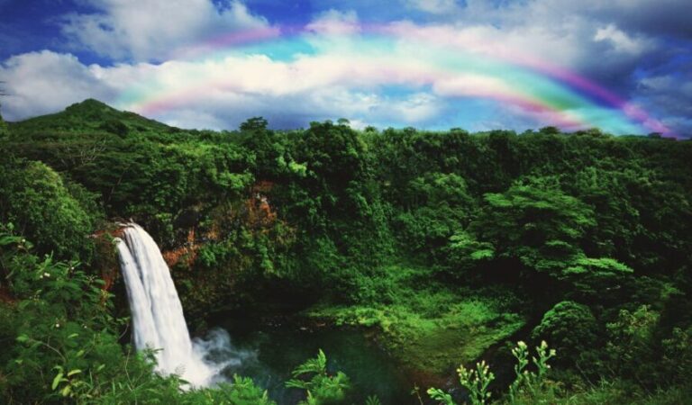 Kauai: Movie Locations Tour - An In-Depth Look at the Kauai Movie Locations Tour
