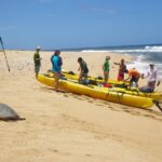 Kauai Sea Kayaking 10 mile tour - Na Pali Iki (Polihale to Milolii) - Practical Details