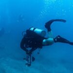 Kauai: Twilight/Night Shore Dive Experience - Who Should Book This Experience?