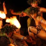 Kauai: VIP Manor House Dinner & Luau Kalamaku Show - Who Will Love This Experience?