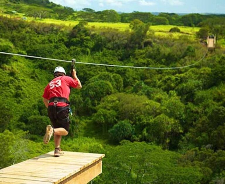 Kauai: Zipline Adventure - An In-Depth Look at Kauai’s Zipline Adventure