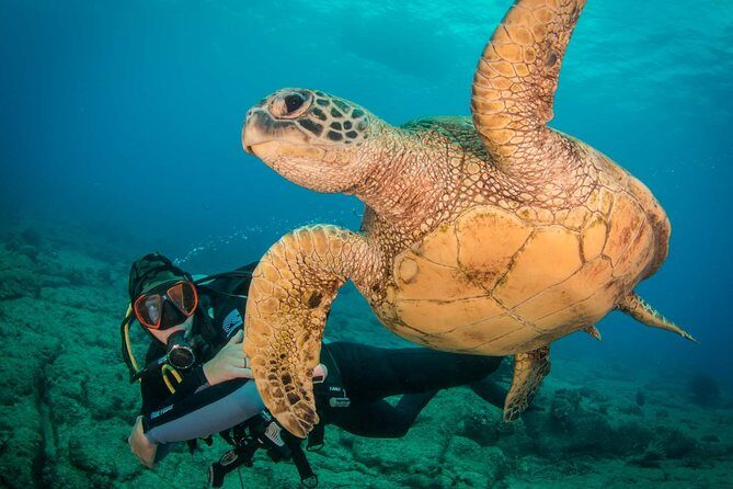 Kauai's Ultimate Discover Scuba Dive - OCEAN EXPERIENCE (1 Tank Dive) - An Authentic Look at Kauai’s Discover Scuba Tour