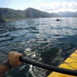 Kayak active tour - Why This Tour Offers Real Value