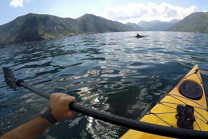 Kayak active tour - Why This Tour Offers Real Value