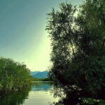 Kayak Adventure: Paddle your way through Lake Skadar - Exploring the Lake Skadar Kayak Experience in Detail