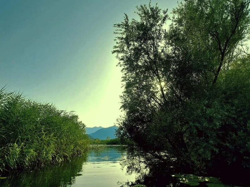 Kayak Adventure: Paddle your way through Lake Skadar - Exploring the Lake Skadar Kayak Experience in Detail