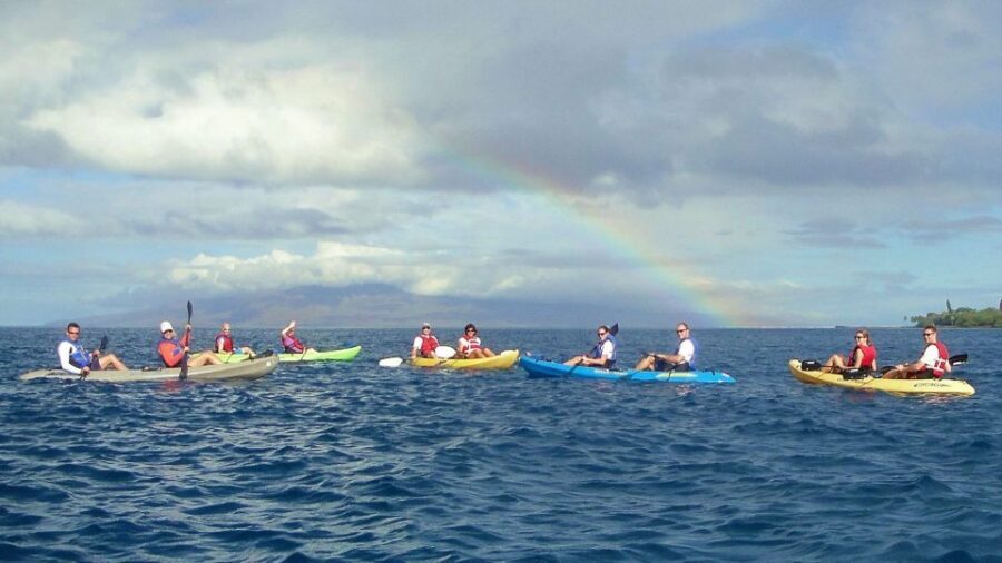 Kayak and Snorkel West Maui at Olowalu - An Authentic Maui Water Adventure
