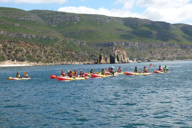 Kayak and Snorkeling Adventure in Arrabida - Why This Tour Stands Out