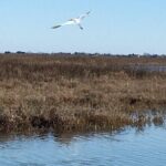 Kayak Discovery Tour in the Lagoon of Venice - FAQs