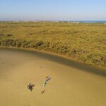 Kayak Experience in the Mangroves of Holbox Island - The Sum Up