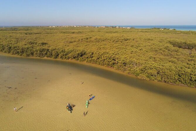 Kayak Experience in the Mangroves of Holbox Island - The Sum Up