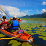Kayak Guided Tour Skadar lake - Adventure in National park - What’s Included and What to Consider