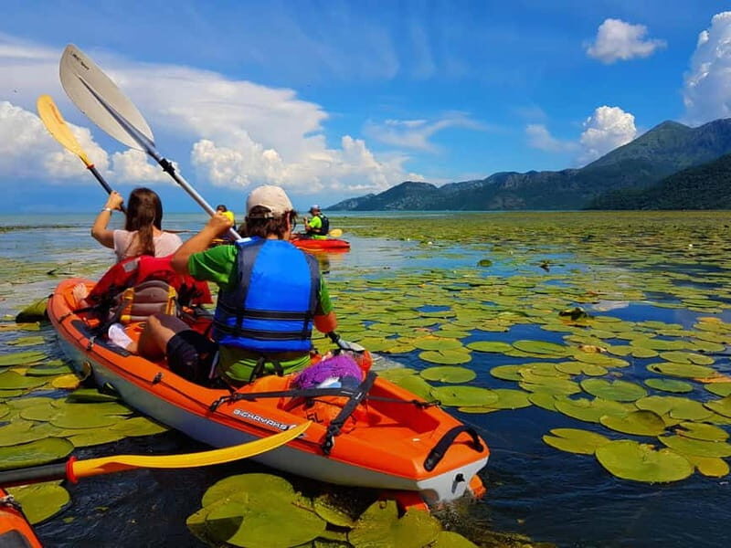 Kayak Guided Tour Skadar lake - Adventure in National park - What’s Included and What to Consider