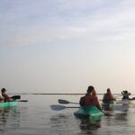 Kayak Mangroves Sunrise Experience - Summing It Up
