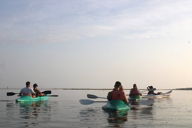 Kayak Mangroves Sunrise Experience - Summing It Up