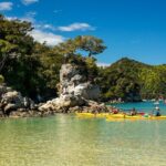 Kayak & Pitt Head Nature Loop - Guided Kayak & Unguided Walk - New Zealand - An In-Depth Look at the Abel Tasman Kayak & Walk Experience