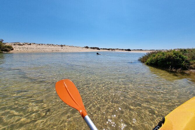 Kayak Rental in Praia dos Cavacos - Practical Details and Considerations