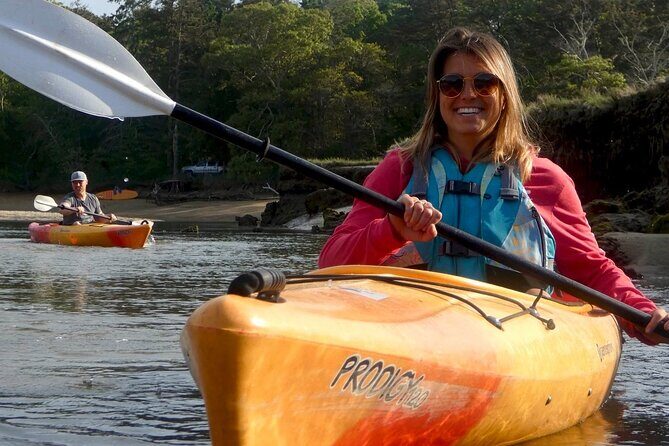 Kayak The Creek Nature Tour