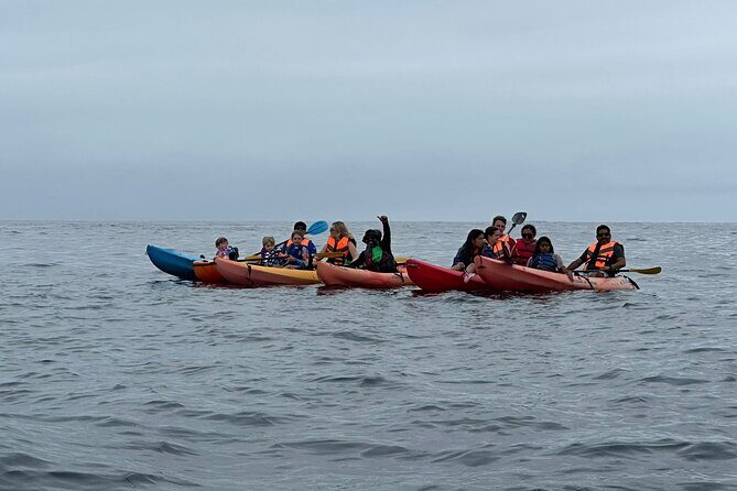 Kayak The Jacket and Flea market Private Tour - The Full Experience: What You Can Expect