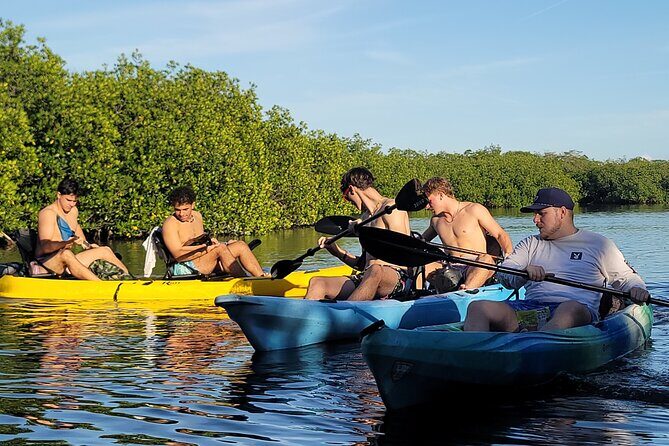 Kayak through Mangrove Forests in the Florida Keys - Why This Tour Works