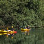 KAYAK TOUR I Going down the Lima River in Kayak | AV - Why Choose This Experience?