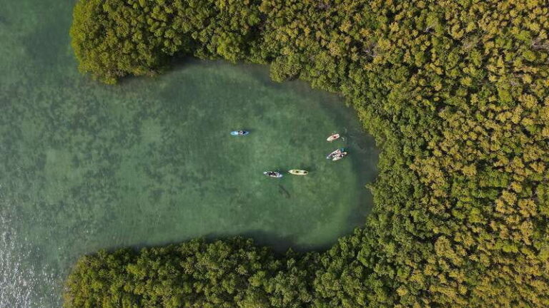 Kayak Tour in Cancun with Photos included - The Details of the Kayak Tour in Cancun