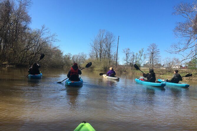 Kayak Tour Of The Honey Island Swamp and Backwaters - What to Consider
