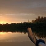 Kayak Tours and Rentals. Dolphins, Manatees, and Bioluminescence! - The Experience in Detail