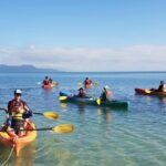 Kayak Turtle Tour from Palm Cove - FAQs about the Kayak Turtle Tour from Palm Cove