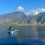 Kayak, Whale Watch And Snorkel At Turtle Town - The Sum Up