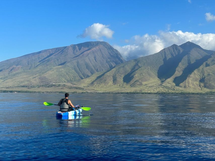 Kayak, Whale Watch And Snorkel At Turtle Town - The Sum Up