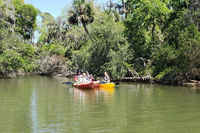 Kayaking Backwaters of New Smyrna Beach Ecotour/Birdwatching - Exploring the Backwaters of New Smyrna Beach