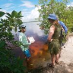 Kayaking in the Mangroves Experience - Final Thoughts: Is This Tour Right for You?