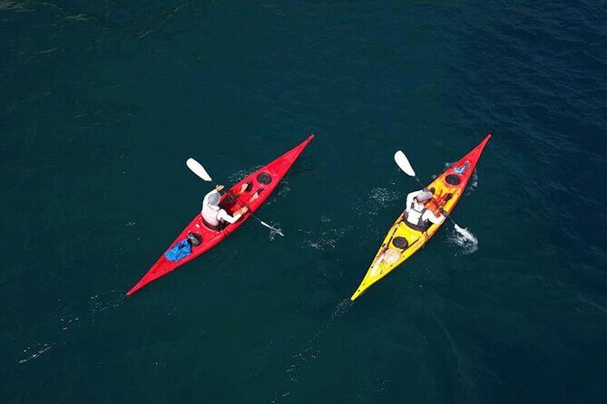Kayaking&Snorkeling in Amalfi Coast, Maiori, Sea caves and beach - What Sets This Tour Apart?