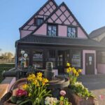 Kaysersberg Vineyard Discovery of the vineyard and wine, Domaine Meyer-Krumb - Why This Tour Offers Great Value
