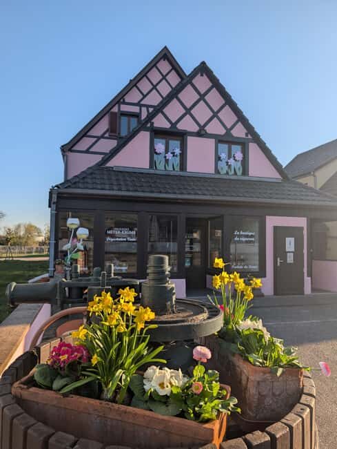 Kaysersberg Vineyard Discovery of the vineyard and wine, Domaine Meyer-Krumb - Why This Tour Offers Great Value