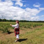 Kazanlak: Rose Festival 2025 VIP Access - Who Will Appreciate This Tour?