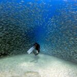 Kealakekua Bay Captain Cook Snorkeling - Why This Tour Stands Out