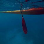 Kealakekua Bay: Guided Kayak & Snorkel Adventure - Final thoughts