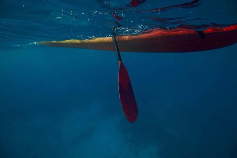 Kealakekua Bay: Guided Kayak & Snorkel Adventure - Final thoughts