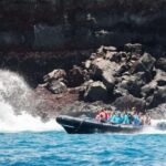 Kealakekua Bay: Snorkel and Coastal Adventure with Lunch - Final Thoughts: Is This Tour Worth It?