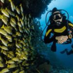 Kefalonia: Beginner Scuba Diving at Agia Efimia Village - Who Will Love This Tour?