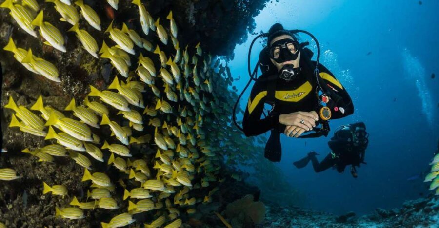Kefalonia: Beginner Scuba Diving at Agia Efimia Village - Who Will Love This Tour?