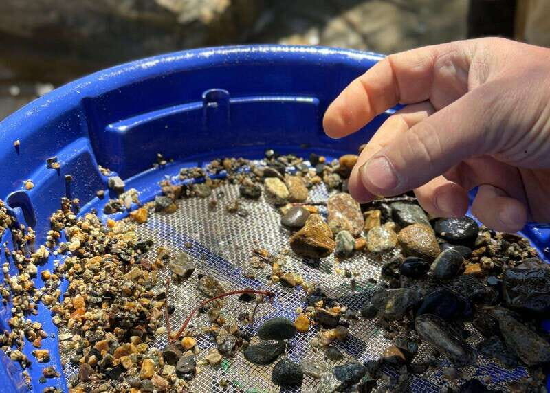 Kelowna E-Bike Gold Panning Expedition - Who Will Love This Experience?
