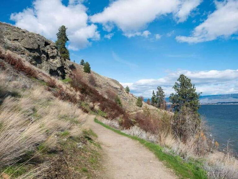 Kelowna: Guided Hiking Tour - Why This Tour Matters