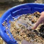 Kelowna: Okanagan Gold Panning Experience at Scenic Canyon - The Value of the Experience