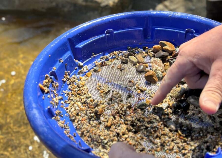 Kelowna: Okanagan Gold Panning Experience at Scenic Canyon - The Value of the Experience