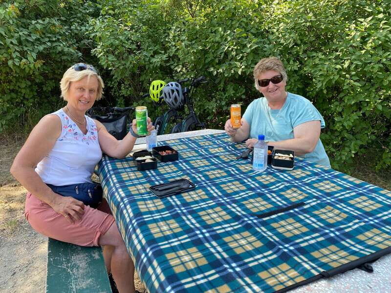 Kelowna: Okanagan Lake Guided E-Bike Tour with Picnic - Who Should Consider This Tour