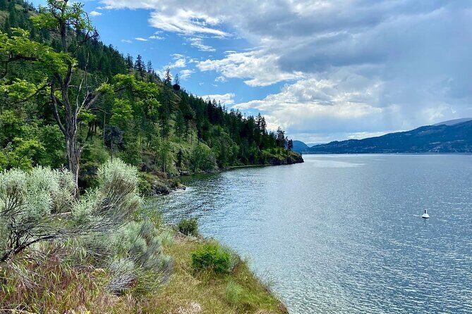 Kelowna: Okanagan Lake Views Guided E-Bike Tour with Picnic - Final Thoughts: Is This Tour Right for You?